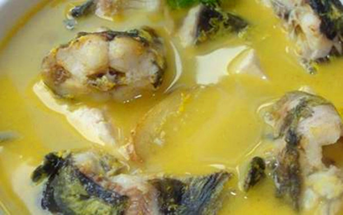 怎么炖鱼不腻还好吃又简单,最靠谱最好吃最详细的炖鱼做法