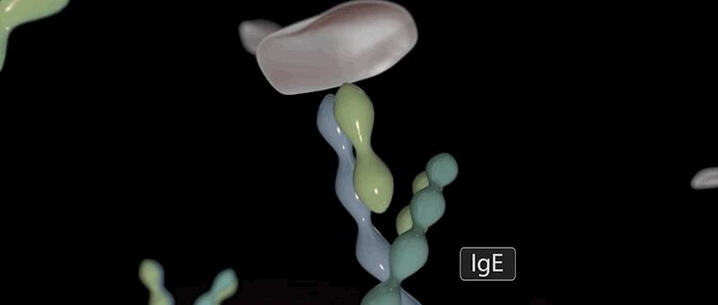 哮喘的发病原理,哮喘科普文章作品简介