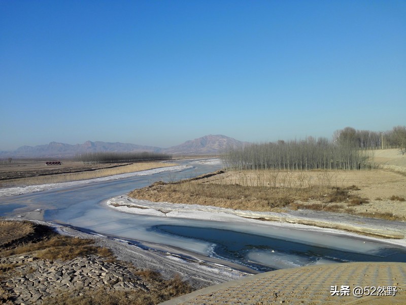 久违的蛙鸣声瞬间忆起童年的趣事,久违的蟋蟀声音