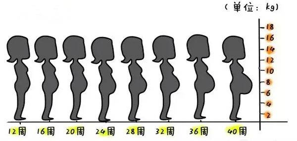 不显怀肚子小,不显怀但是肚子大