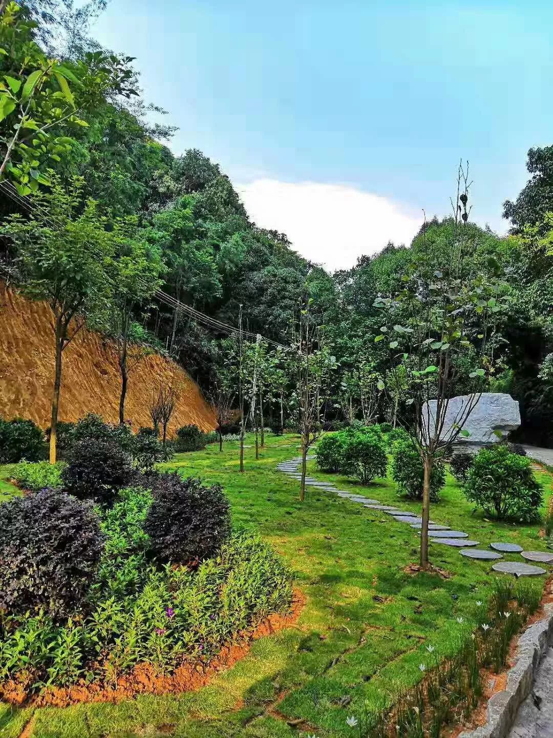 森呼吸运动乐园乘车路线,森呼吸好玩吗