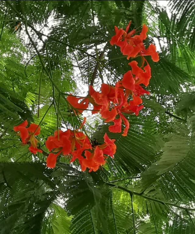 中国海岸线北端的起点,中国海岸线北起端点是丹东吗