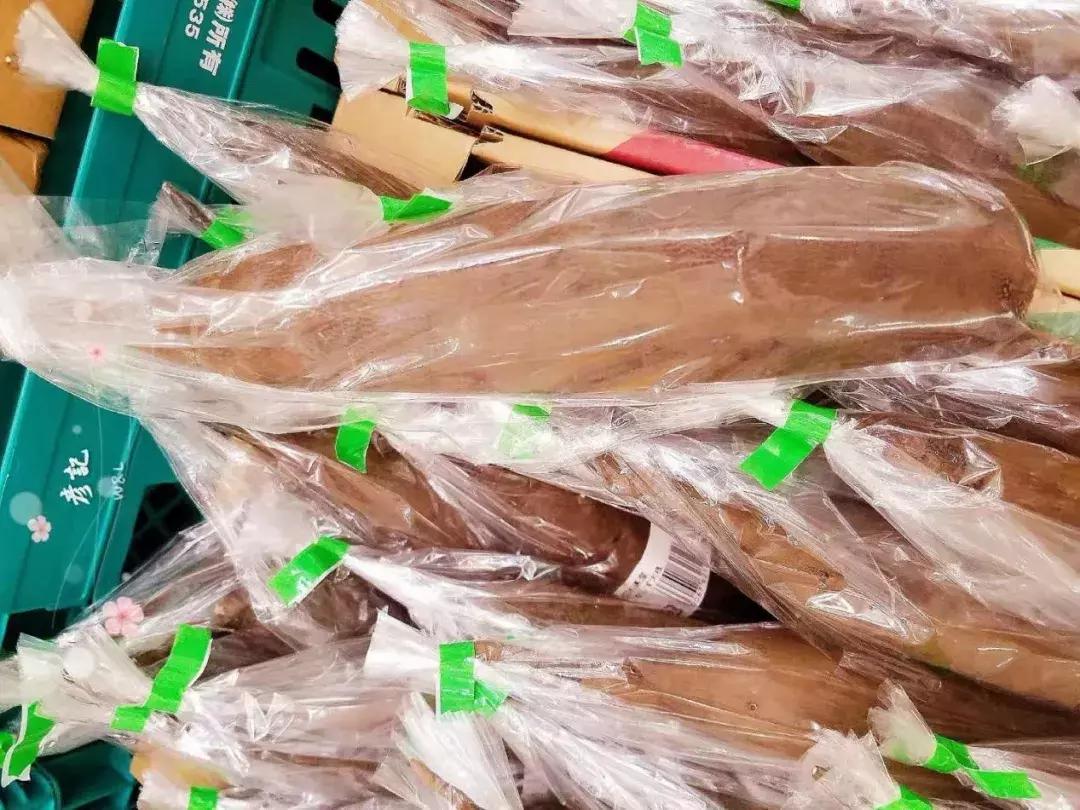 日本精致的日常生活 (日本的精致日常生活)