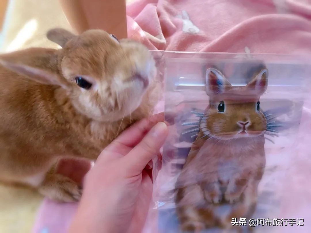 比撒钱刺激，种草日本杂货的最高境界，是把自己变成卖货郎！