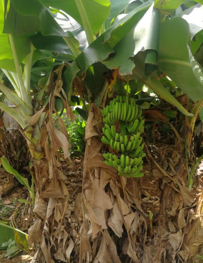 去北海涠洲岛最全旅游攻略,涠洲岛最详细攻略拿走不谢