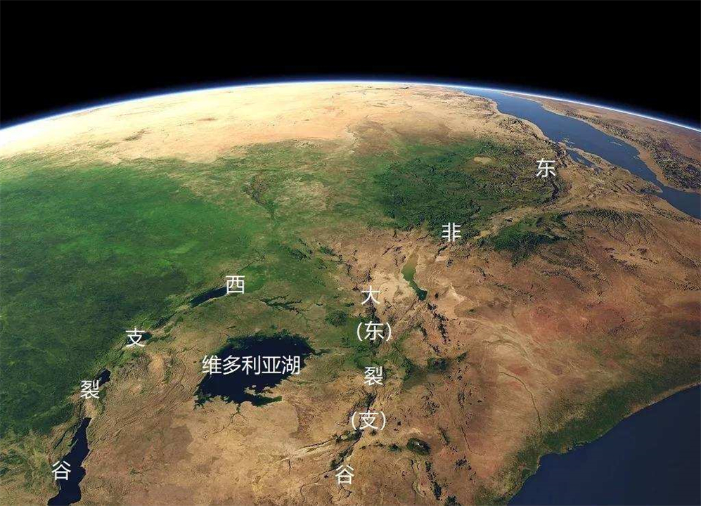 人都是女性生的，在人类出现前，世界上第一个女性是从哪里来的？