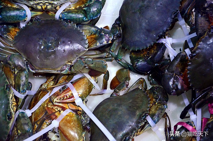 土龙羊肉汤,清补凉炖羊肉鸡汤