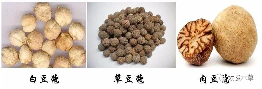 肚子胀干呕可以喝什么,腹痛腹胀可以喝什么