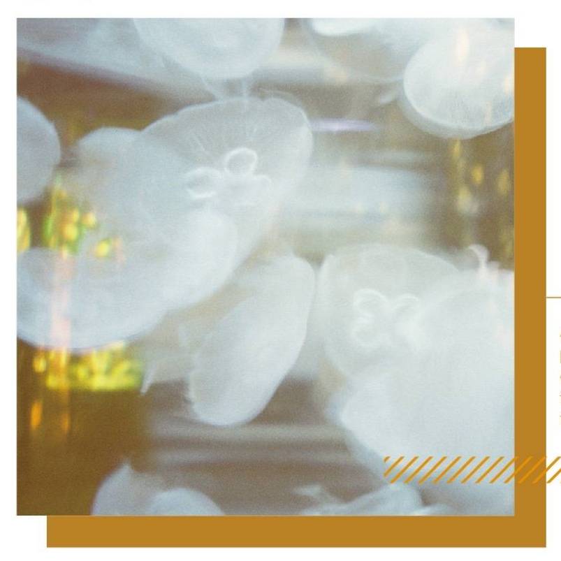 好看手帐社团胶带推荐,便宜又好用的手帐和社团胶带