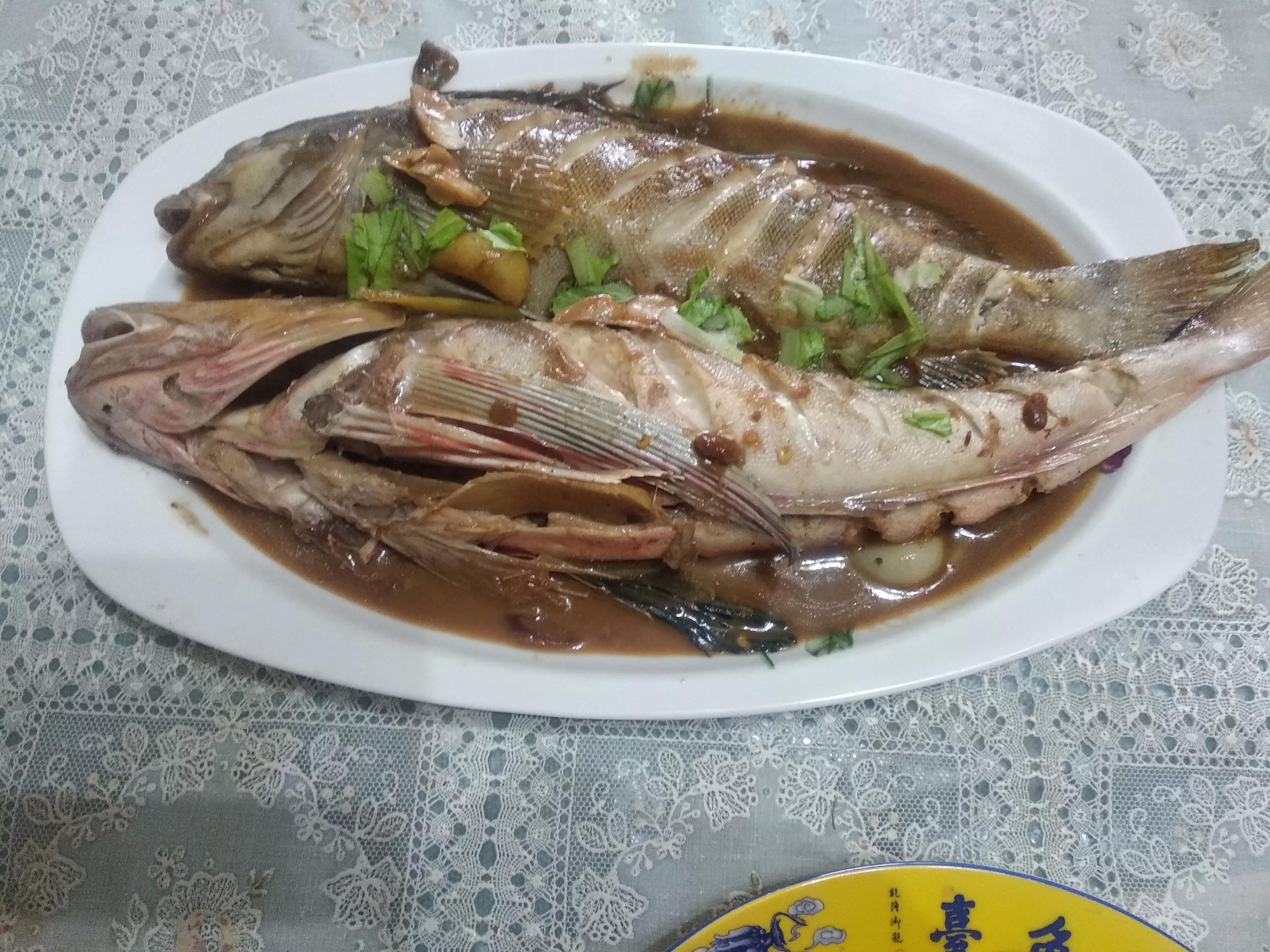 开海了吃什么美食,海边人常吃的40种海鱼