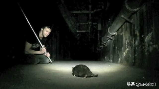 探灵小队被困精神病院,真实灵异探灵小队