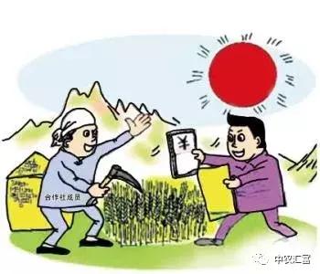 合作社补贴2020,农民入股合作社每亩补贴800元