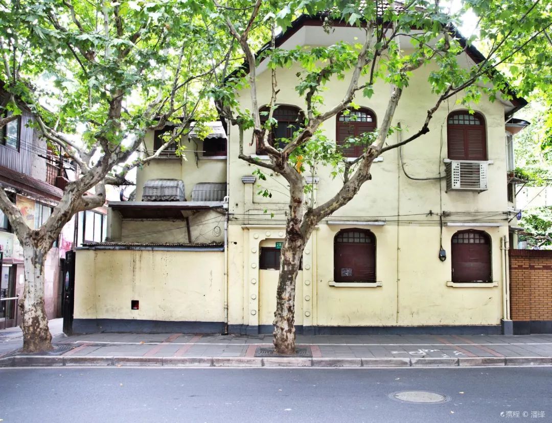 上海十大网红马路,魔都网红一条街