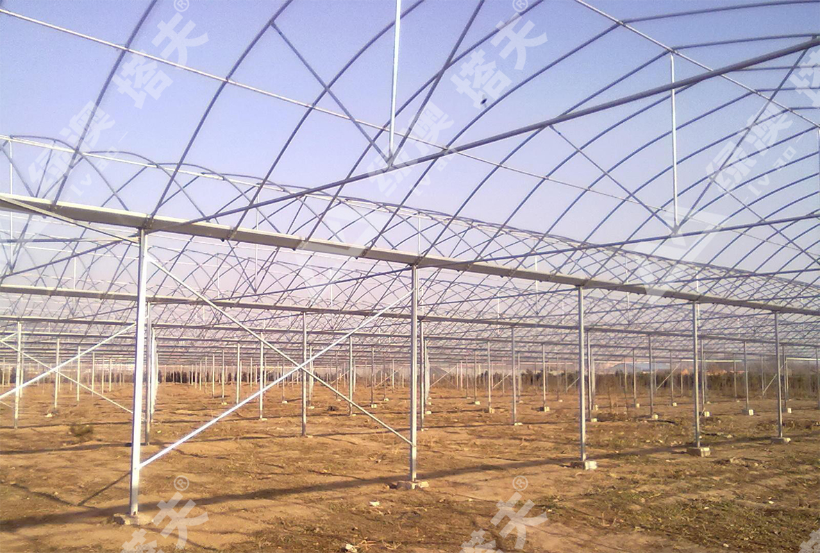 玻璃阳光板温室大棚夏天温度,温室大棚采光板怎么样