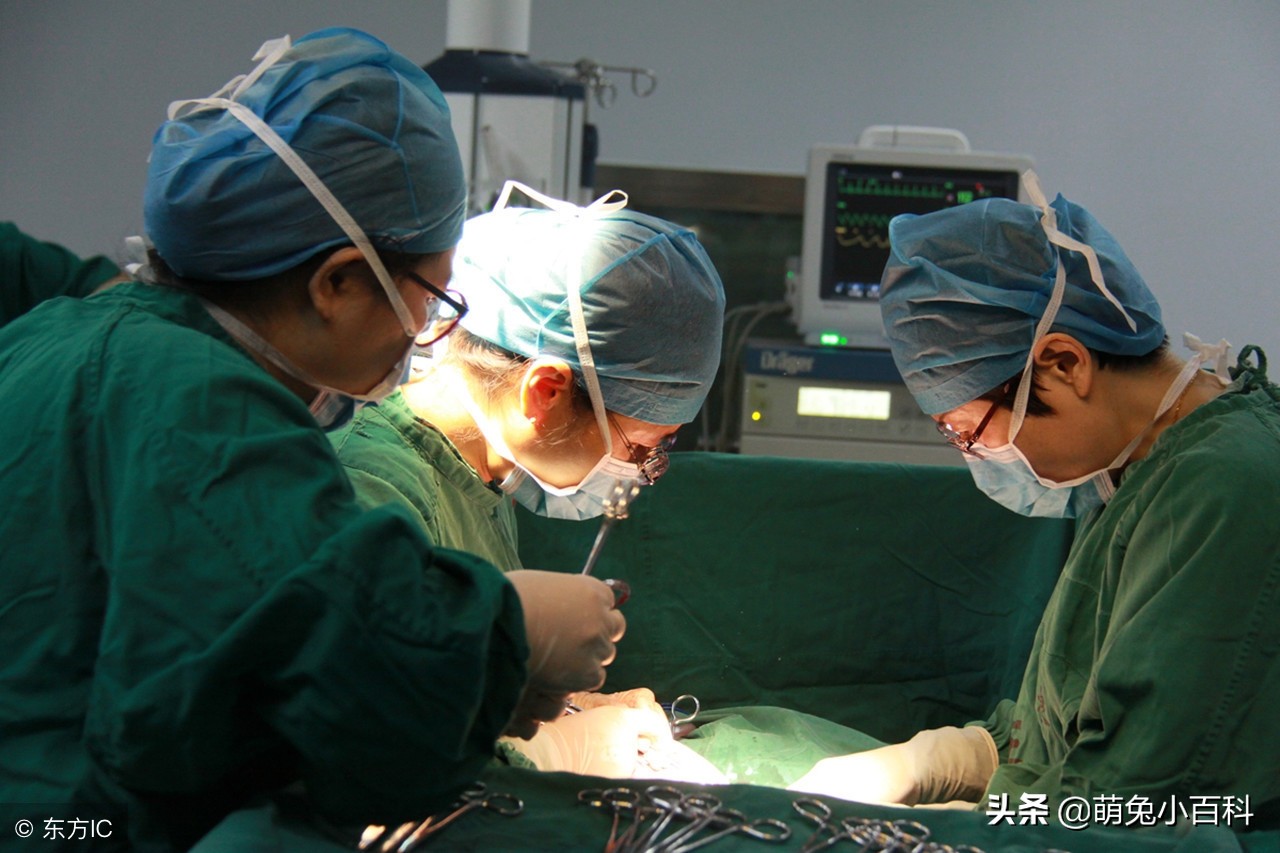 创四项世界纪录！中国首例妇移植子宫成功产子