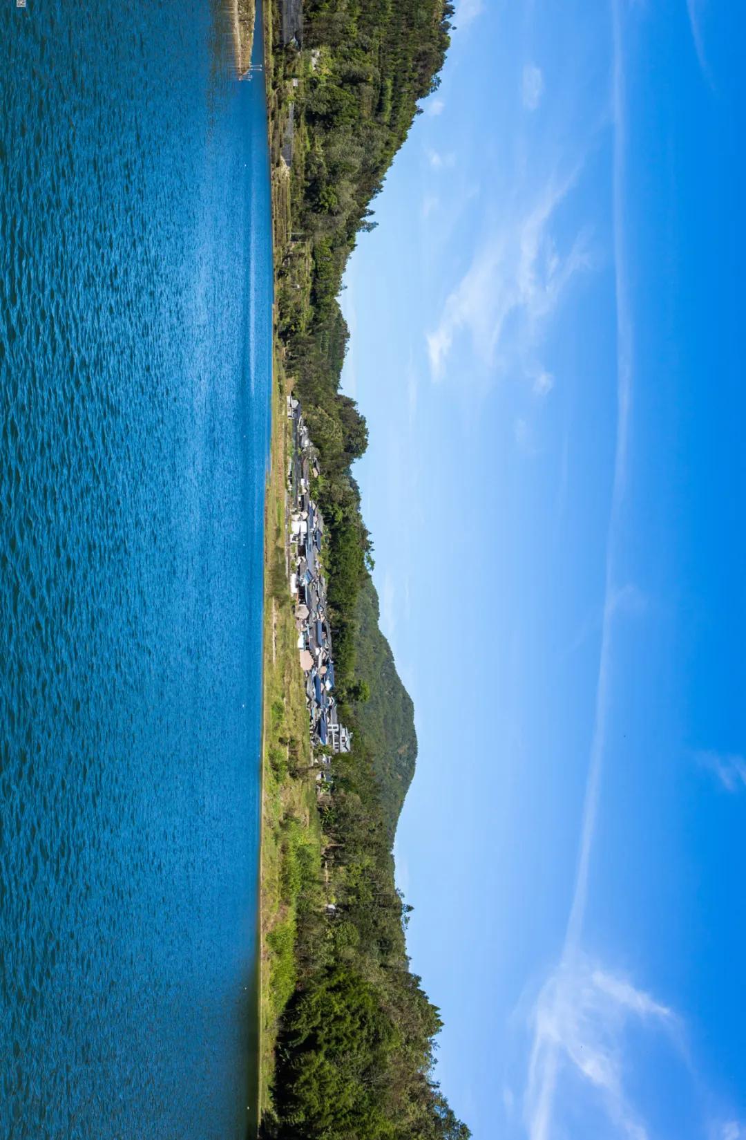 这是一个生机勃勃的地方关于它的故事才刚刚开始