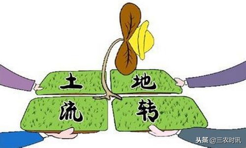 土地流转增加农民收入,土地流转带动农民致富