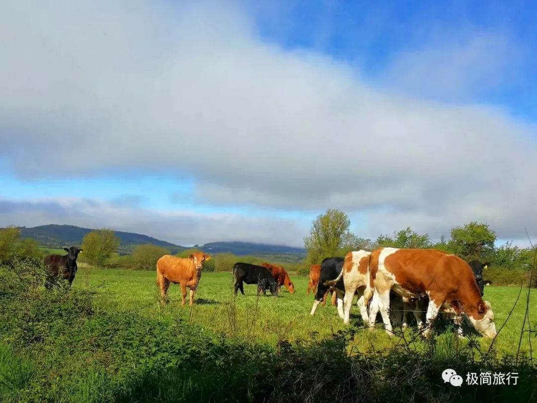 在爱尔兰,我们开启不一样的生活