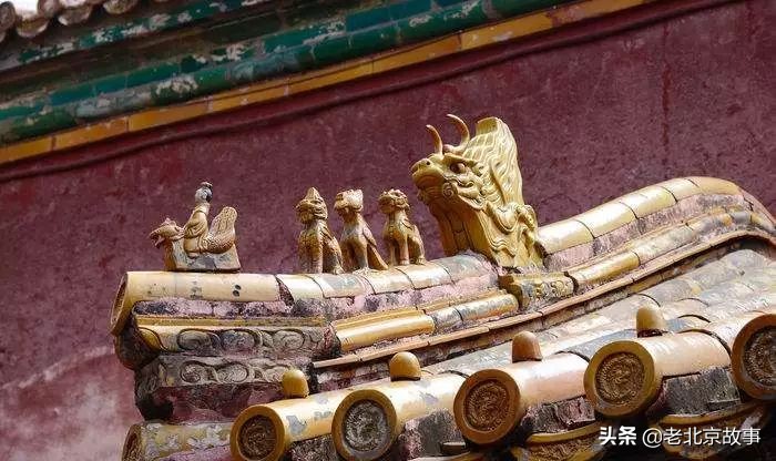 故宫成了动物园,故宫北京动物园