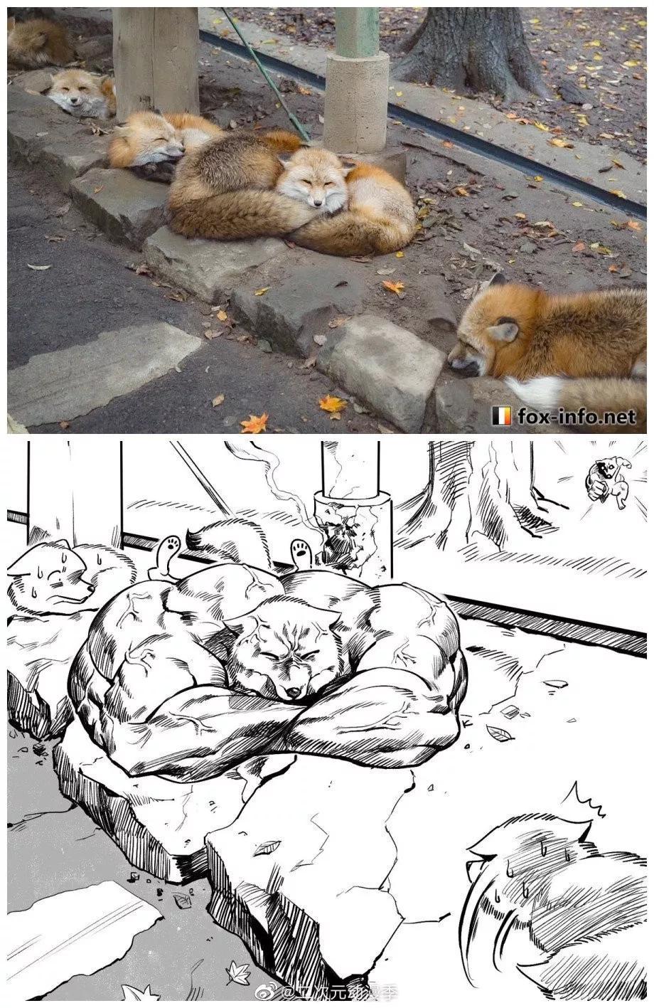 又一位肌肉*男猛**出现了，这个系列永不完结……