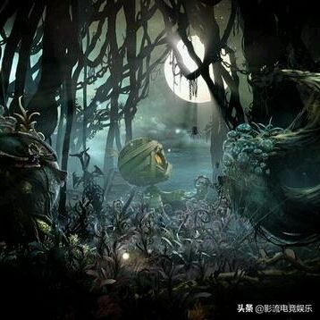 阿木木上万场比赛,阿木木上万场