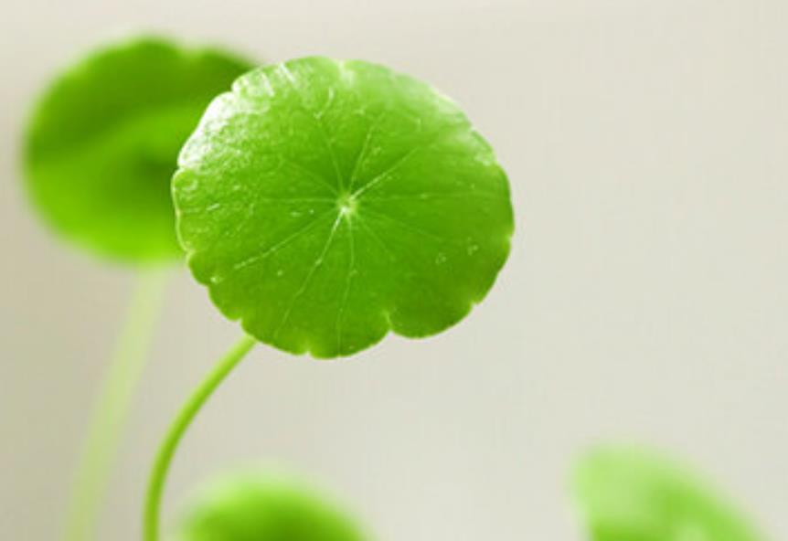 做人要懂得投资自己,做人赚钱的原则