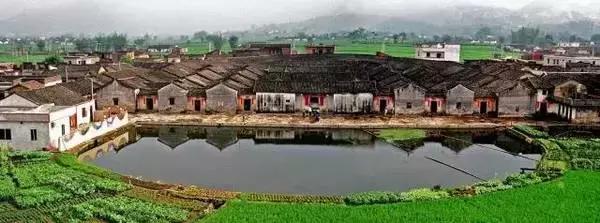 兴宁适合女性创业吗,回乡创业致富的女人