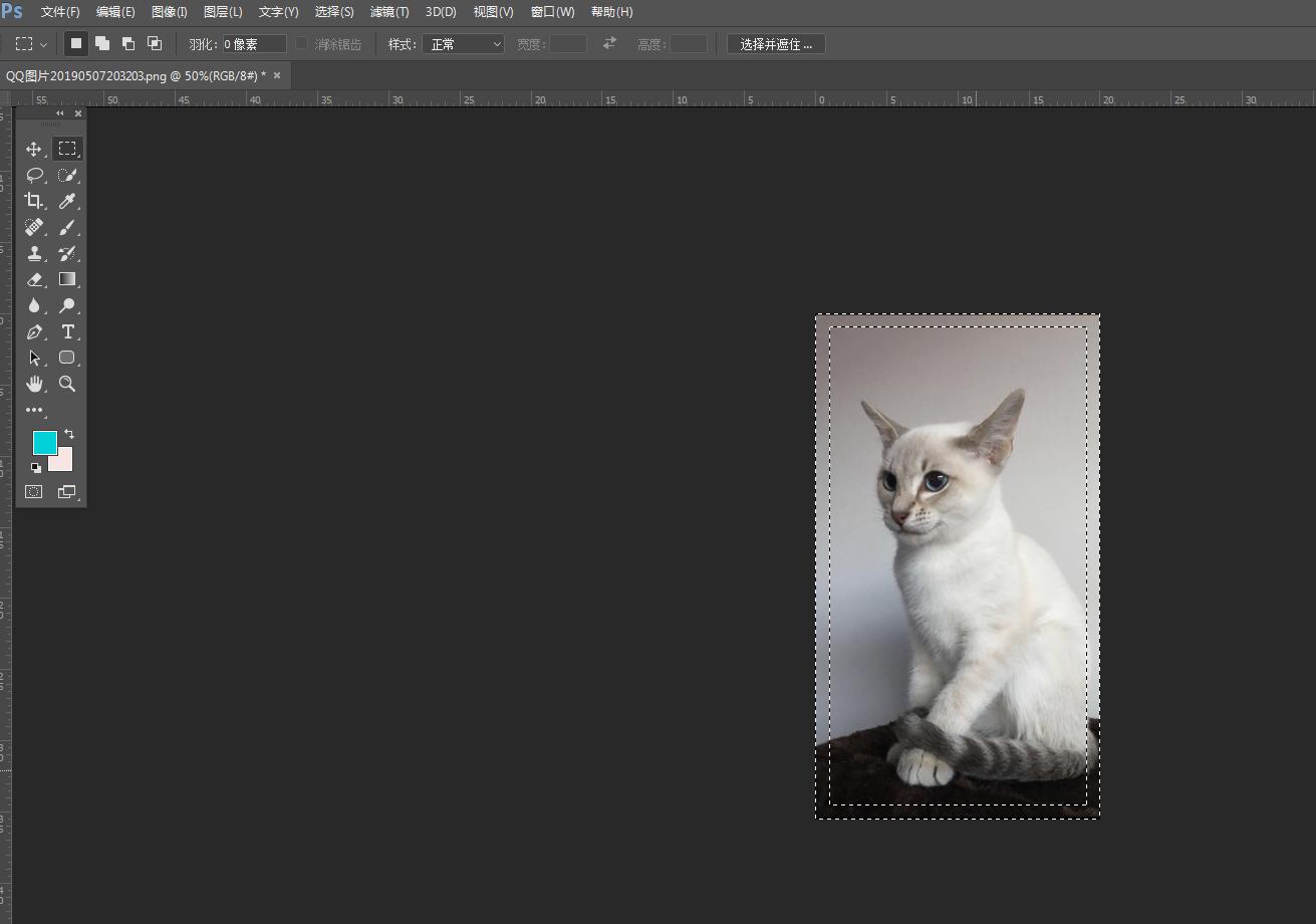白底照片怎么拍怎么制作,如何制作无接缝照片教程