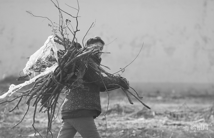 滨州摄影师吕维君：用心感受每一次快门的灵动