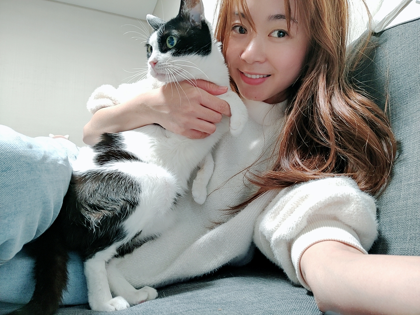 幼猫可用的猫咪饮水机,如何让猫咪学会用猫咪专用饮水机