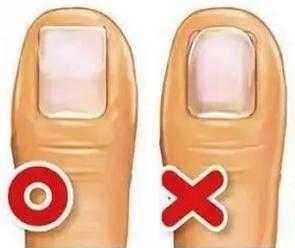 用军工材料做指甲刀，49元一把10年不用磨，网友：不愧是德国制造