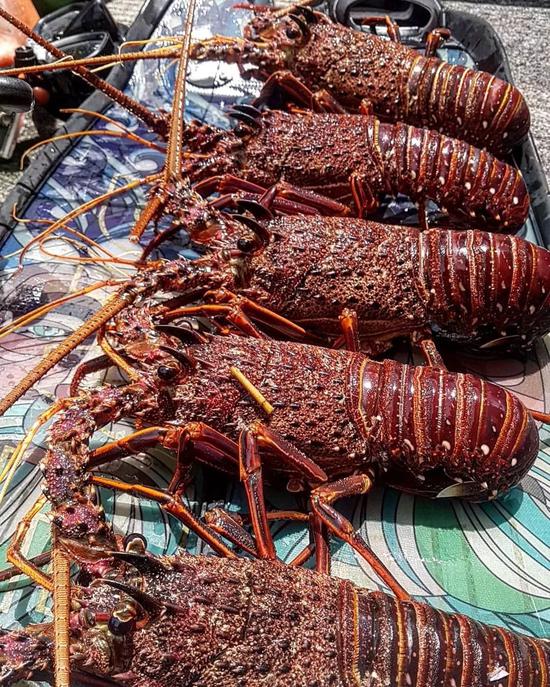 买海鲜时要避开的4种“套路”,你不知道的买海鲜知识