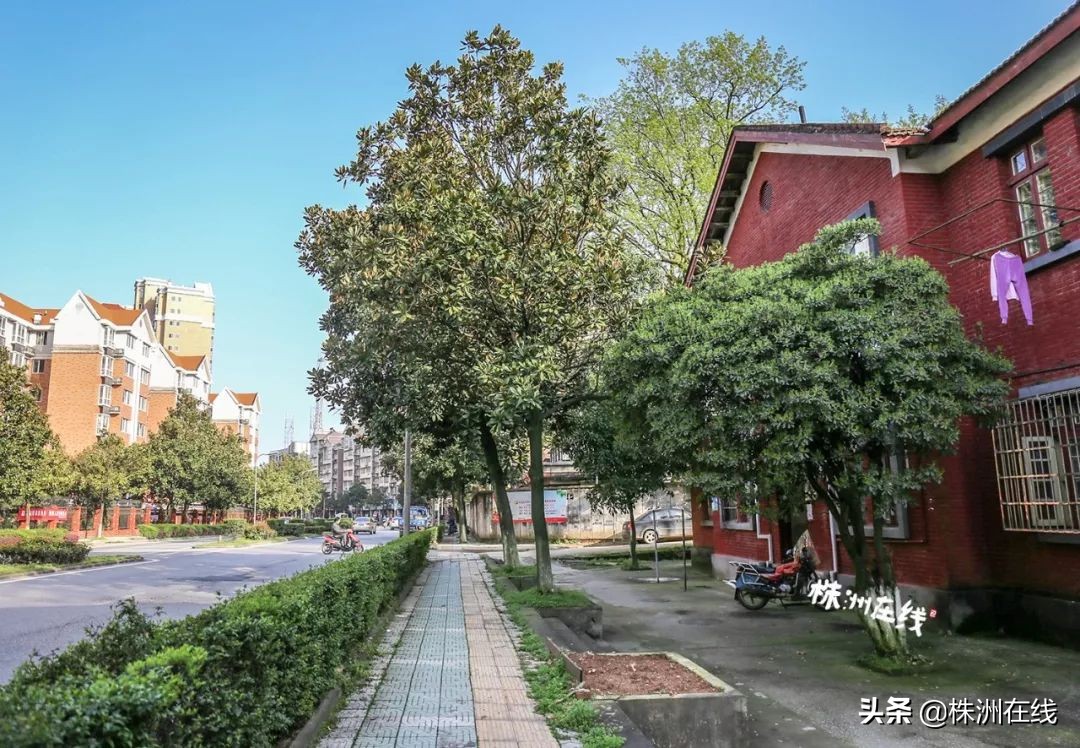 331国道临江往上下一站是什么地方,331国道绥芬河下一站到哪