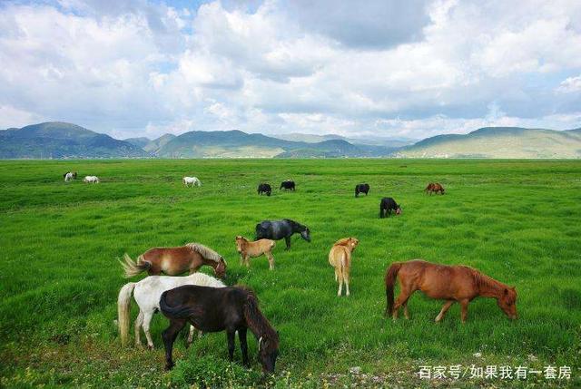 春节香格里拉旅游攻略,游玩香格里拉需要多少钱
