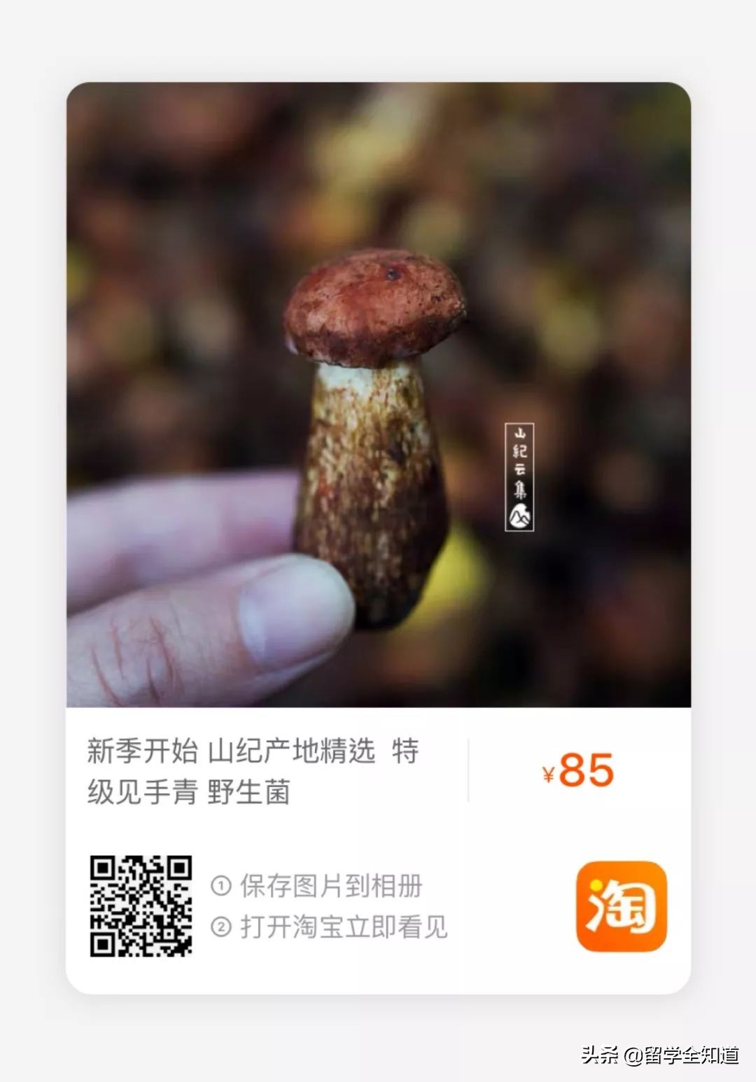 学霸妈妈们的购物清单：今年双11，这样买最有智慧