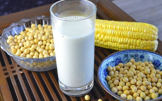 豆浆能不能天天喝破壁机打的,豆浆能不能天天喝呢