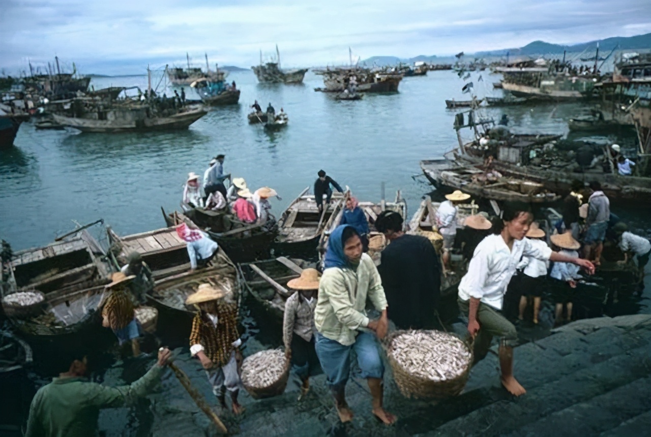 袜业大王浪莎是真是假,浪莎袜业老板事件