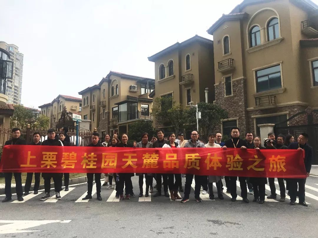 上栗碧桂园天麓户型效果图片,上栗碧桂园天麓9栋