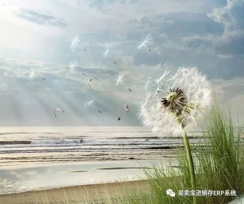 微商软文怎样写吸引人,微商公众号软文编写技巧