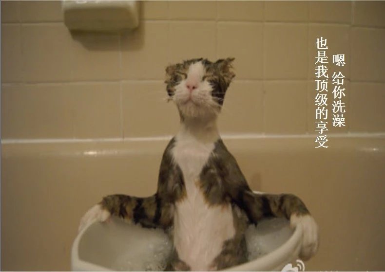 我只想说声爱你,只想再爱你一次