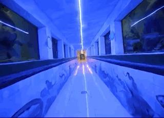 河北人没存在感，却打破了世界的所有次元壁