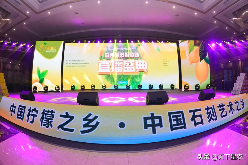 天下星农：如何让一个区域公用品牌市场化？（下篇）