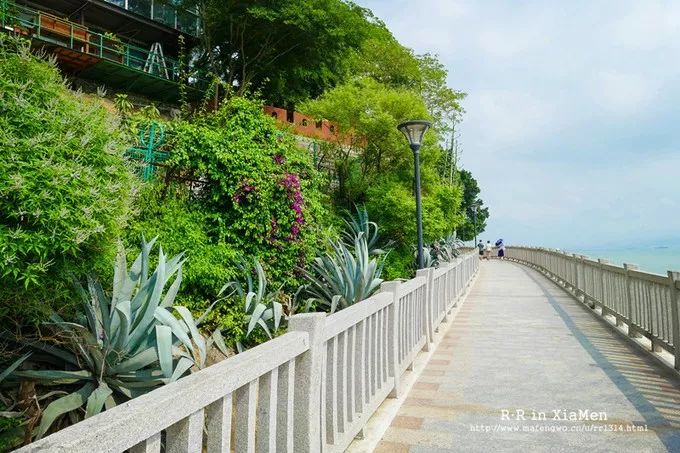 春节厦门免费景点推荐,离厦门最近的城市景点推荐