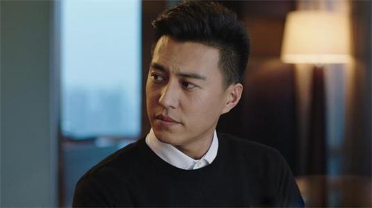 靳东知识分子人设,靳东为什么当老干部