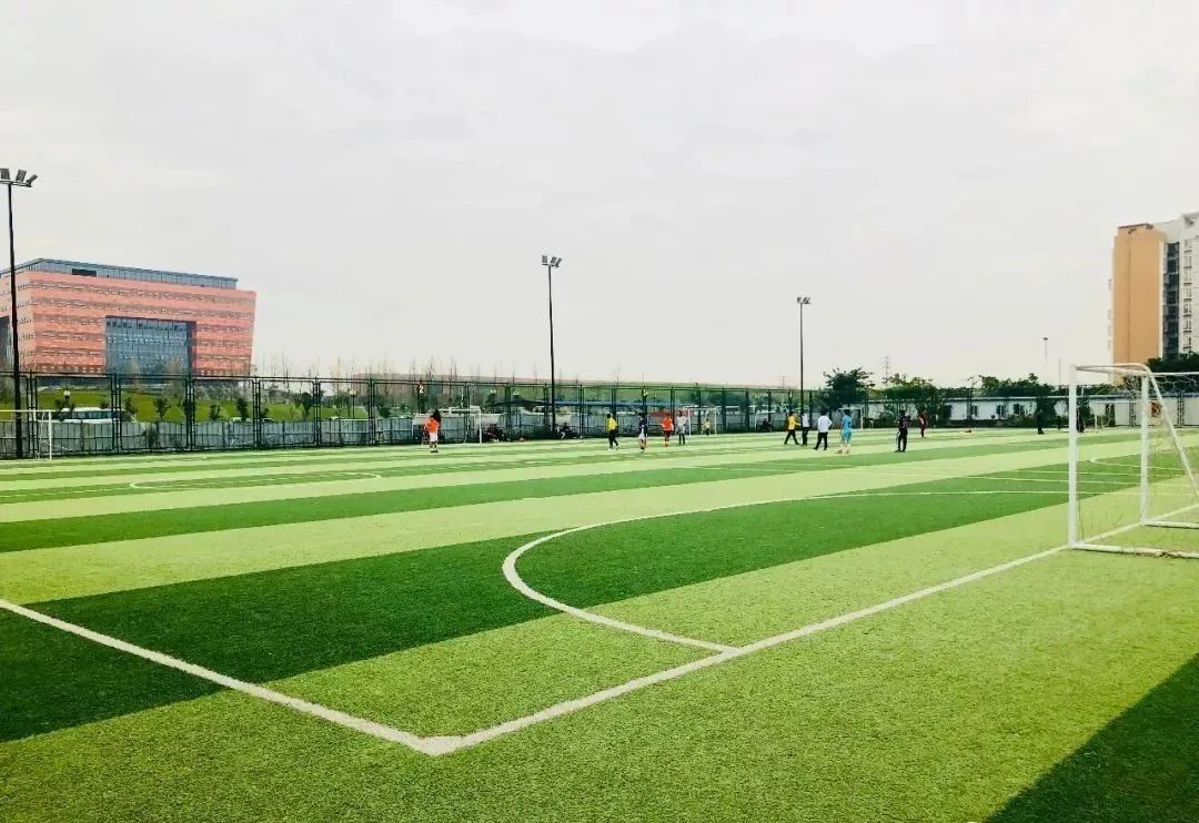 揭阳凤林足球场,揭阳五人足球场