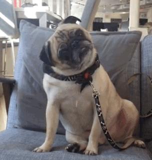 这个国在世界另一边，但铁路直通中国义乌，全民养生却熬最野的夜