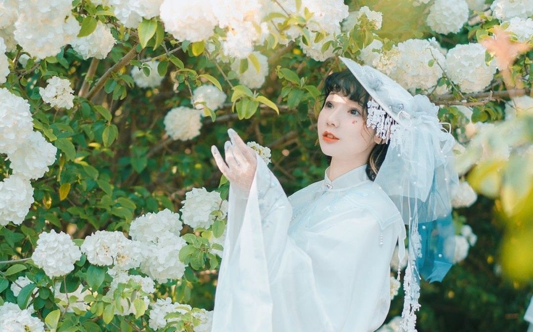 上海云漫展,云漫展活动