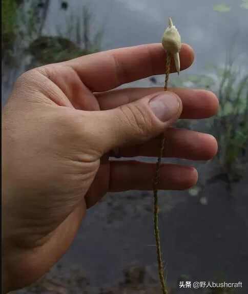 钓鱼神奇的鱼钩做法,钓鱼自制鱼钩视频