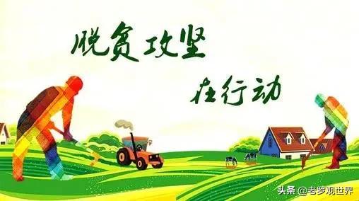 宁县小花椒成就大产业,小花椒深加工拓宽群众致富路