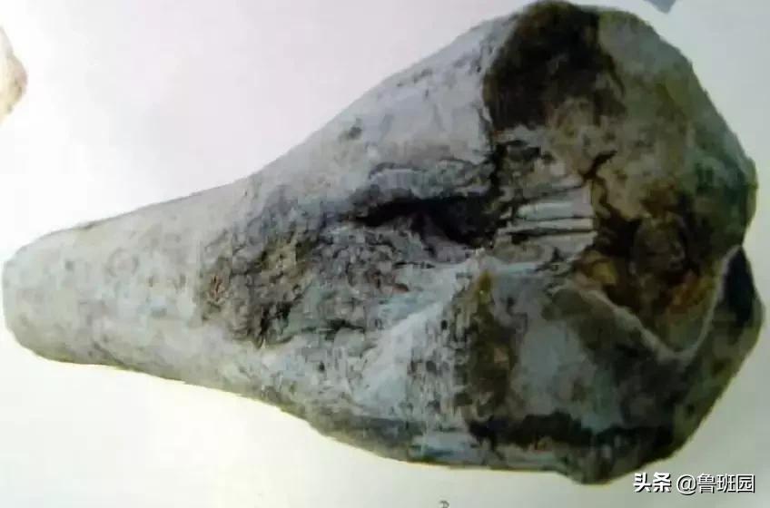 木材的主要缺陷,木材缺陷有哪些